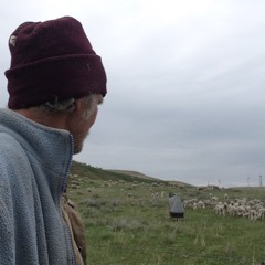 Randy#3
